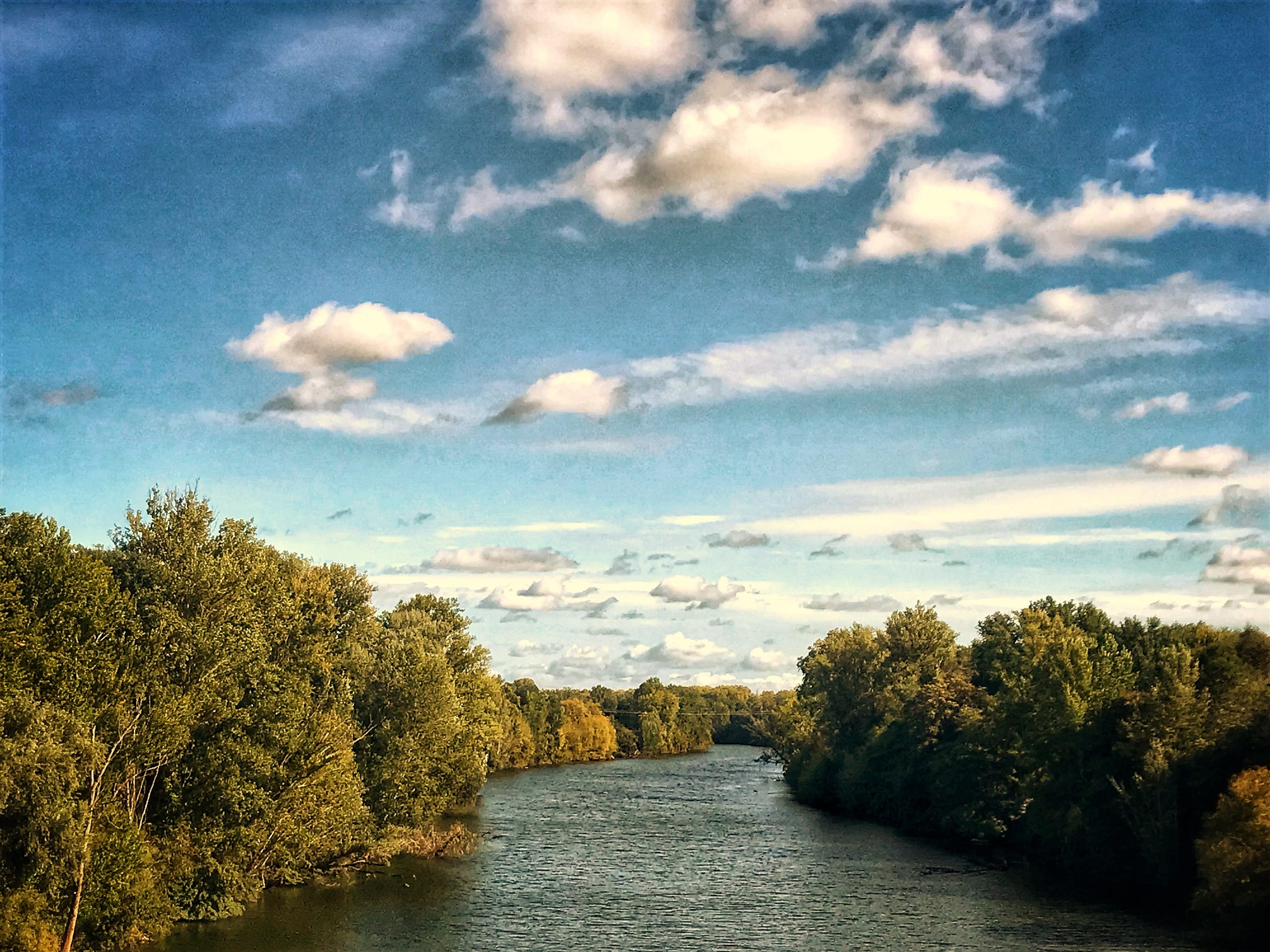 Le Tarn depuis Buzet