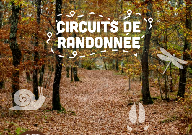 Circuits de randonnée dans la forêt de Buzet sur Tarn