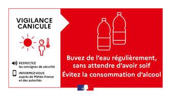 CANICULE