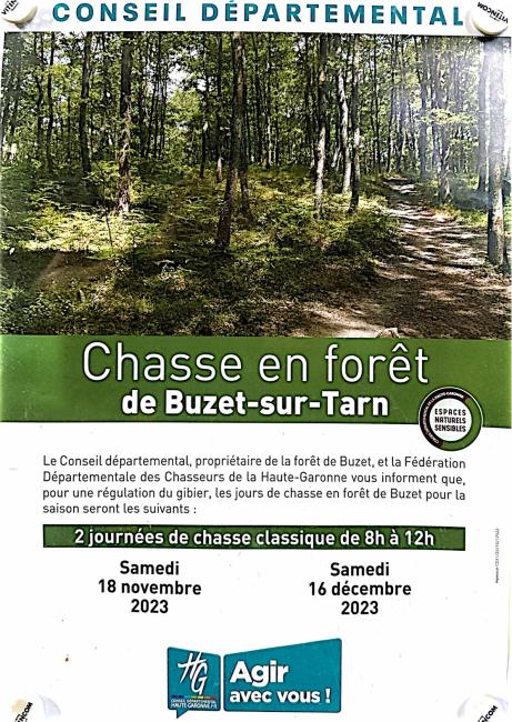 Buzet sur Tarn - Forêt journées de chasse