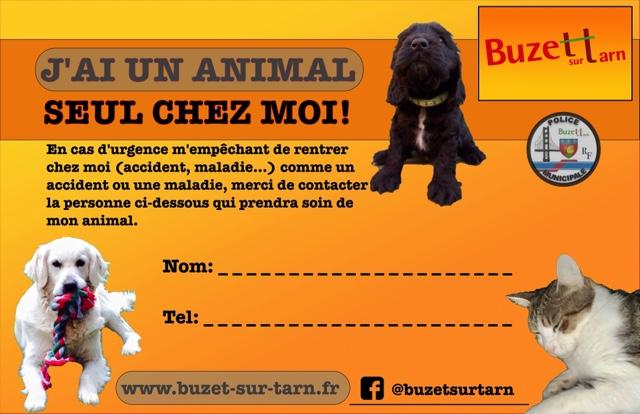 Formulaire - Lute contre la maltraitance animal