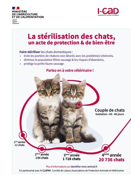 Lute contre la maltraitance animal