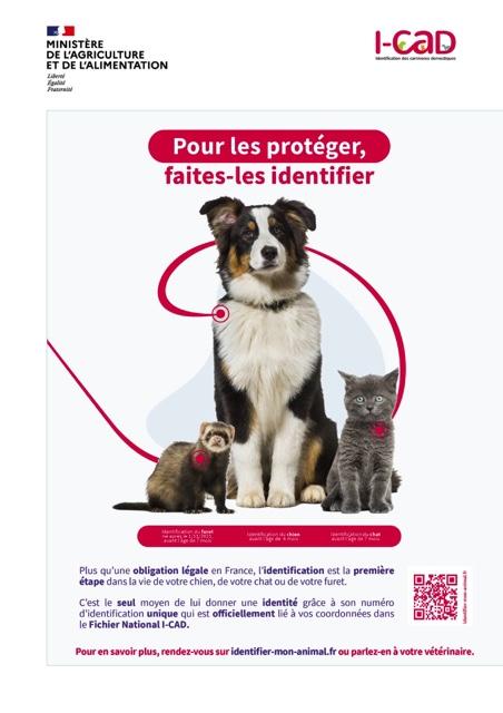 Lute contre la maltraitance animal 2