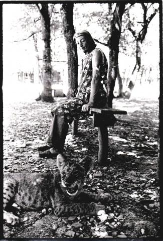 Une photo très symbolique de Jeannette MACDONALD et du lionceau TARASS, à BUZET, signée Gilles FAVIER
