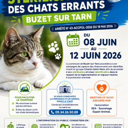 Campagne stérilisation et l’identification des animaux