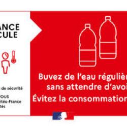 CANICULE